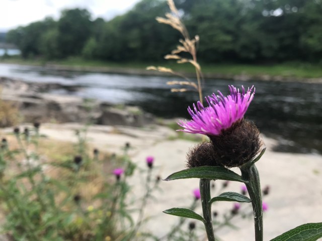 0Mv31vSnT%2n%EKNK3y1dQ